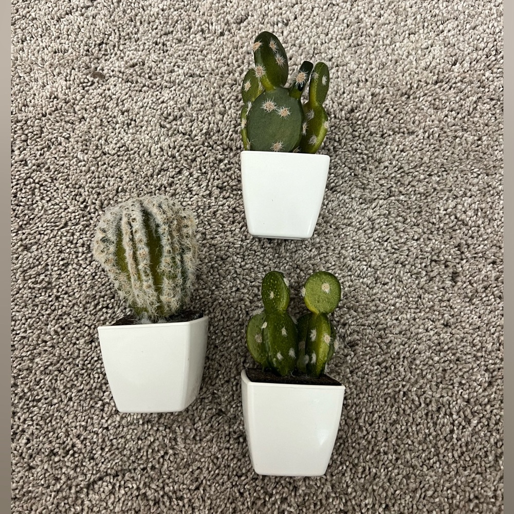 💝Small fake plants